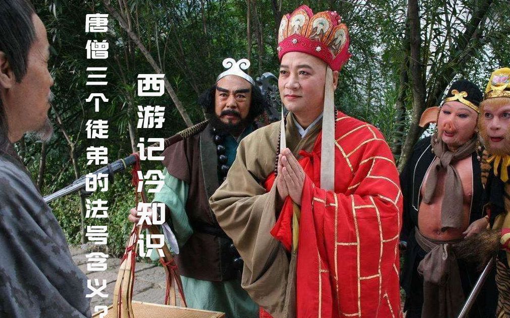 西游记冷知识唐僧徒弟法号意义镇元子孙悟空结拜另有原因