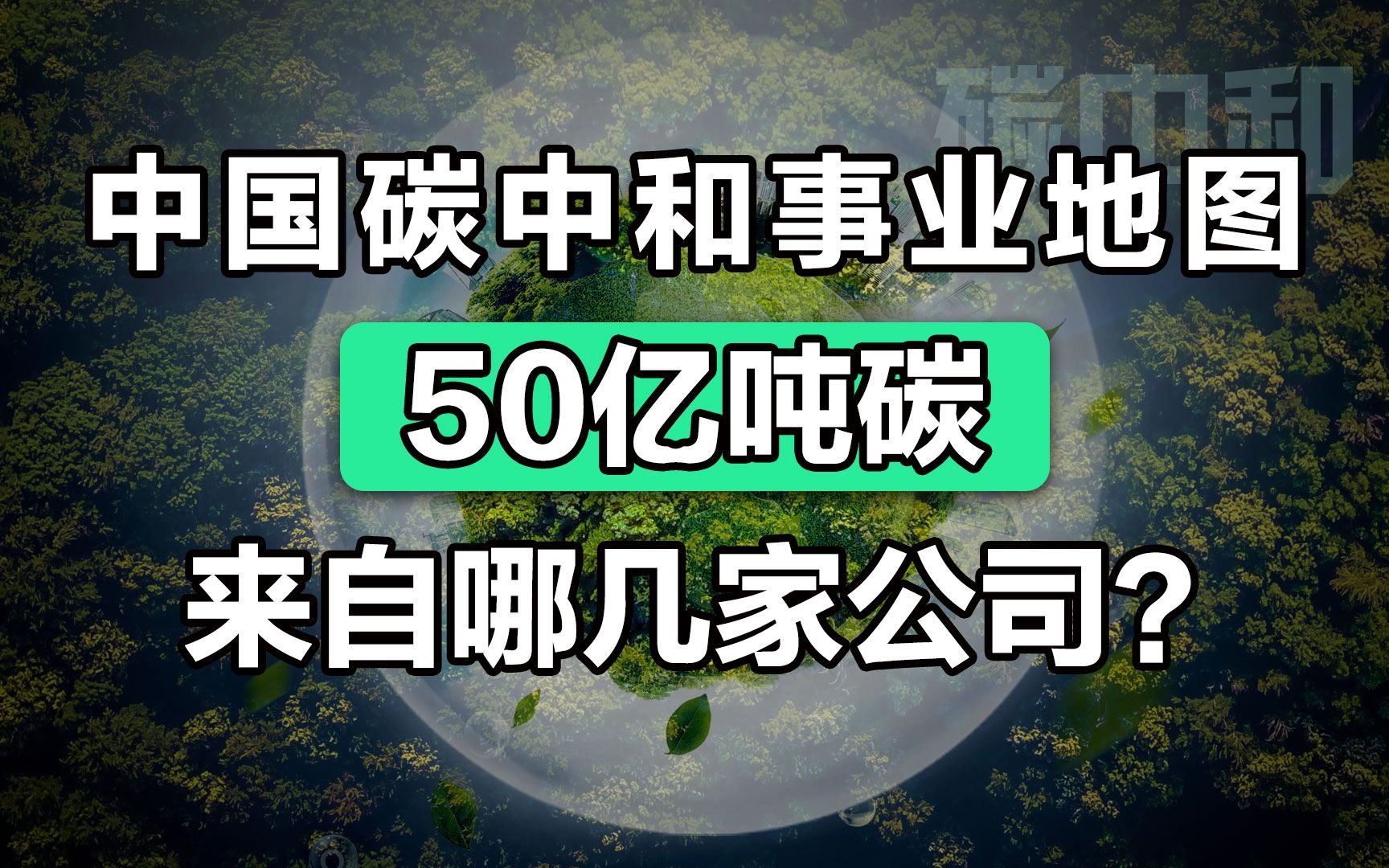 中国碳中和事业地图,50亿吨碳来自哪几家公司?哔哩哔哩bilibili