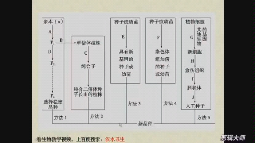 育种方法总结哔哩哔哩bilibili