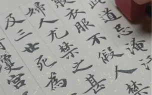 下载视频: 给写灵飞经的孩子们打个样~未完待续~