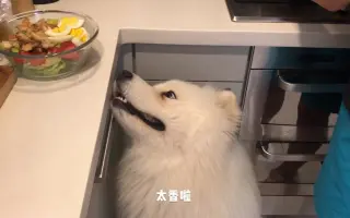 做色拉 搜索结果 哔哩哔哩 Bilibili