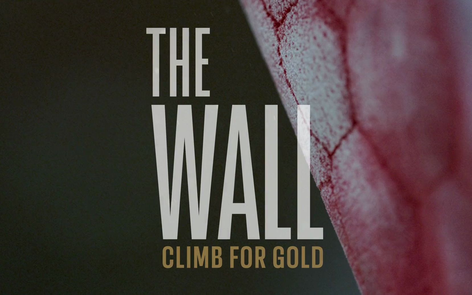 [图]The Wall-Climb for Gold （2022）