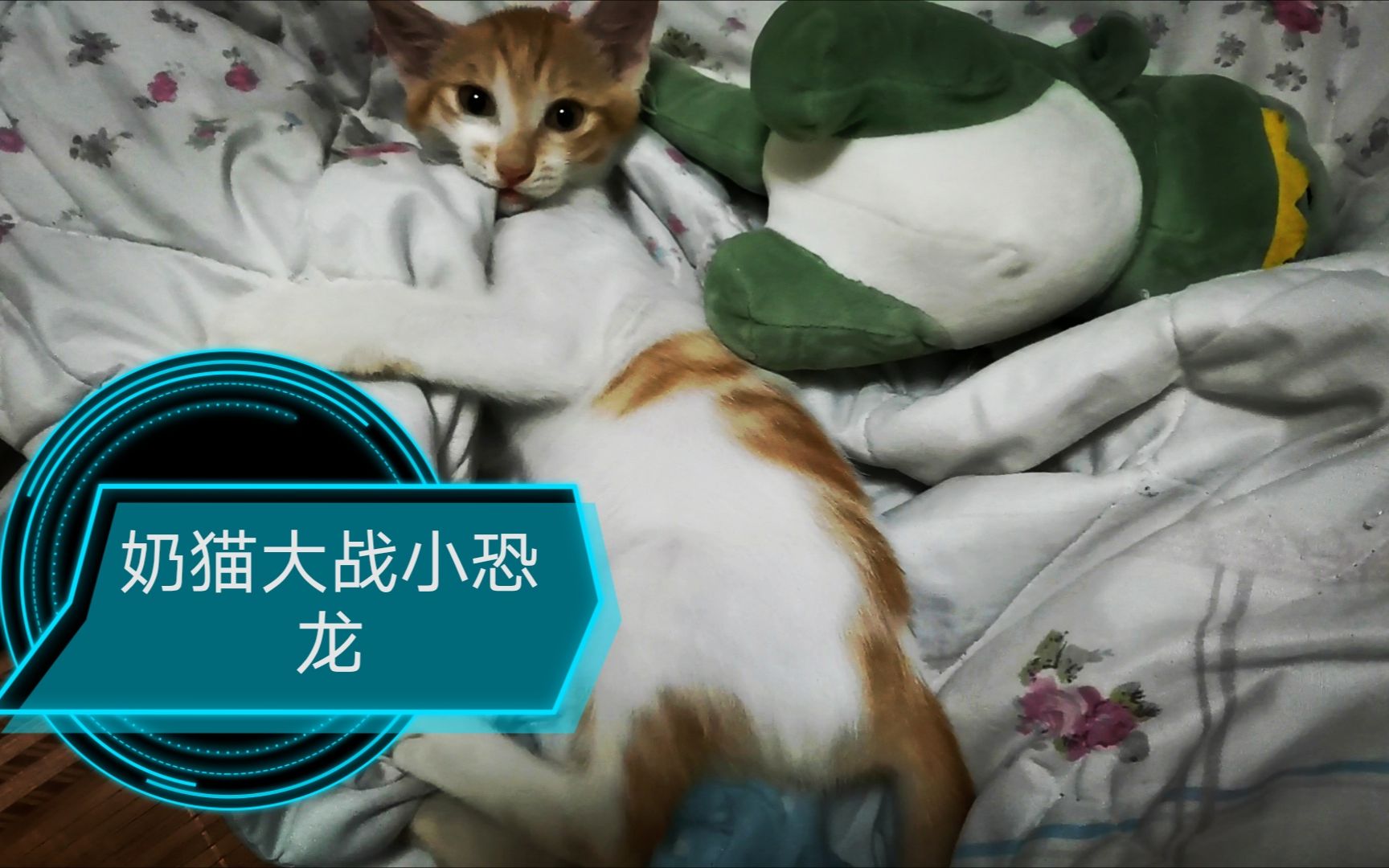 小猫咪大战绿恐龙