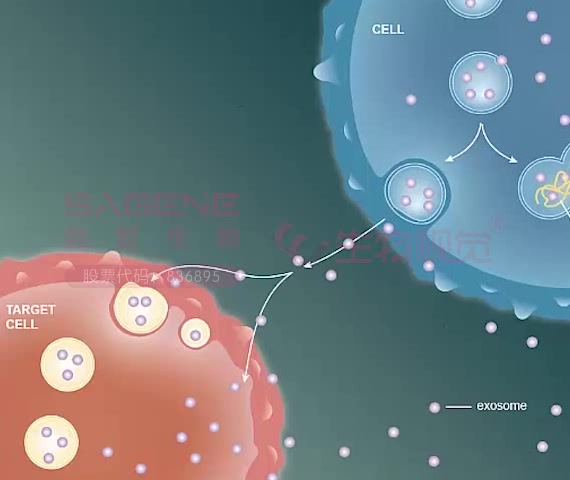 【生物视觉】大神教你一分钟绘制论文插图——外泌体Exosome哔哩哔哩bilibili