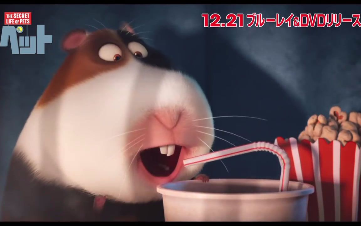 你们喜欢的慢版来了)【爱宠大机密/日语】豚鼠馒头(cv:梶裕贵)mini