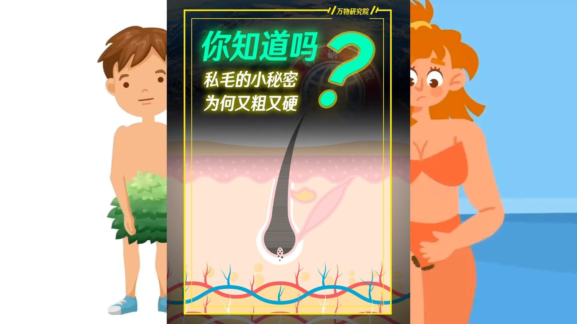 男女生的小秘密:为何有的毛毛又粗有硬?哔哩哔哩bilibili