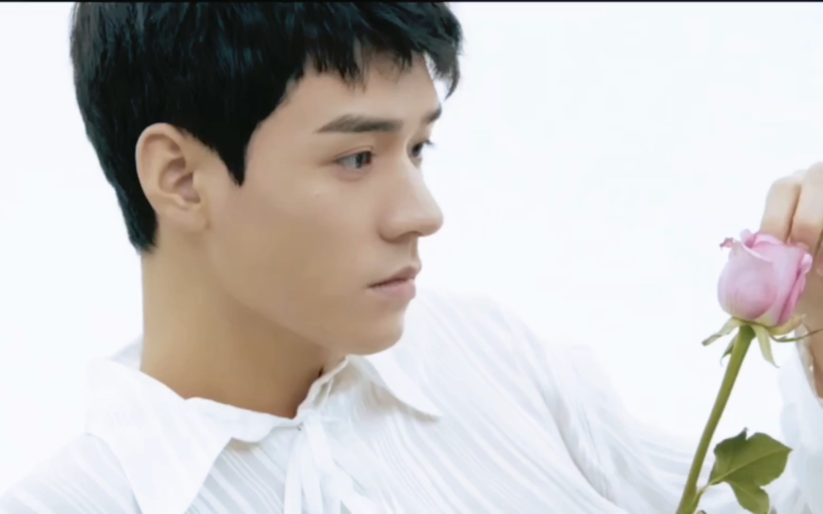 龚俊写真拍摄,花一样的美男子