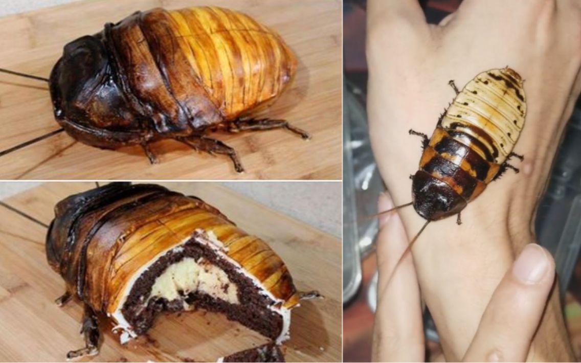 大良网红蟑螂蛋糕的实体到底有多大见到保证你说卧槽