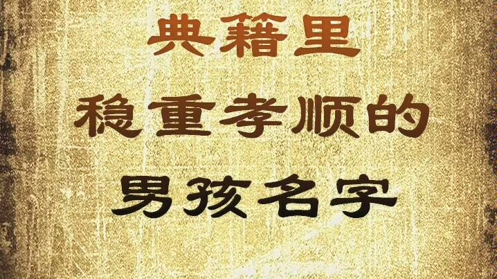 典籍里稳重孝顺的男孩名字,宝宝起名字哔哩哔哩bilibili