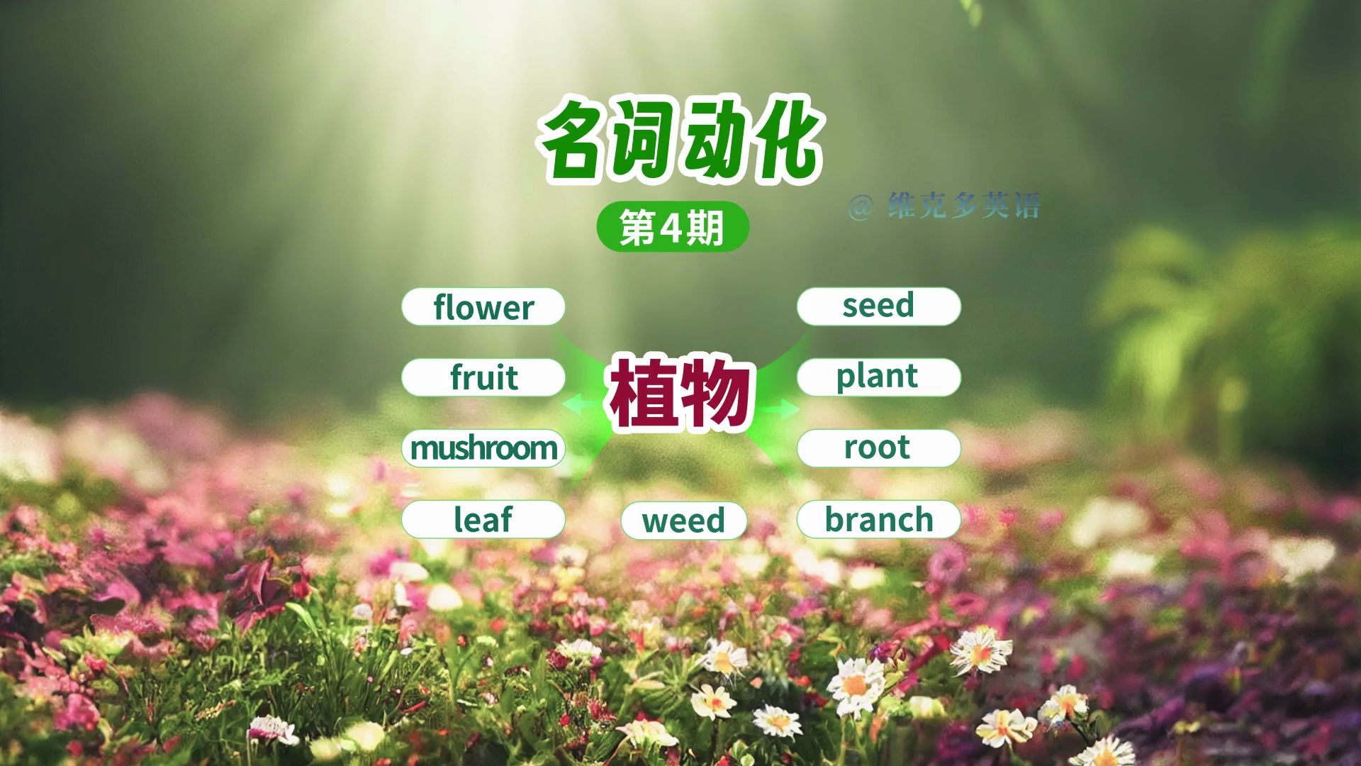 读后续写素材积累——名词动化“植物”哔哩哔哩bilibili