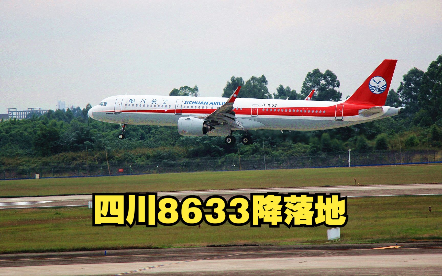 四川8633飞机照片图片