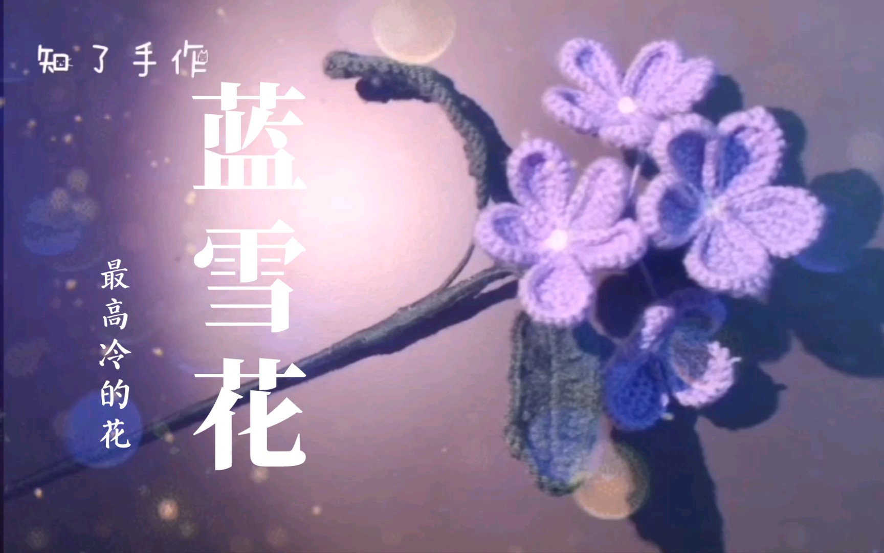 [图]最高冷的花，蓝雪花，冷淡忧郁 冰清玉洁勇敢率真 钩针编织花束（毛线手工钩织）