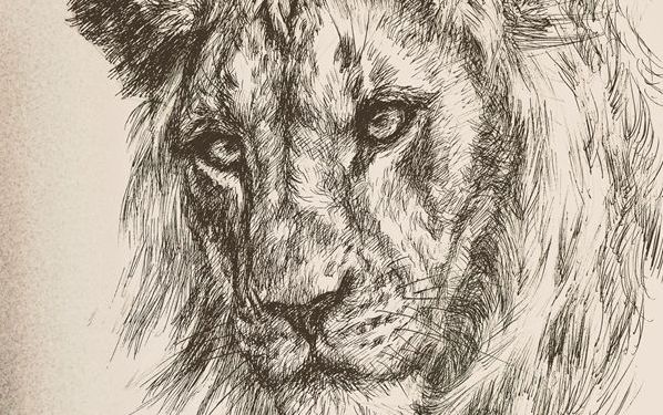 【钢笔素描】雄狮3 (18倍速)