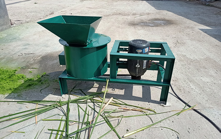 鹅饲料打浆机 青储饲料打浆机 家用电青饲料打浆机器