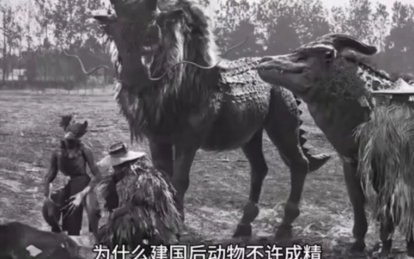 为什么建国后不许成精