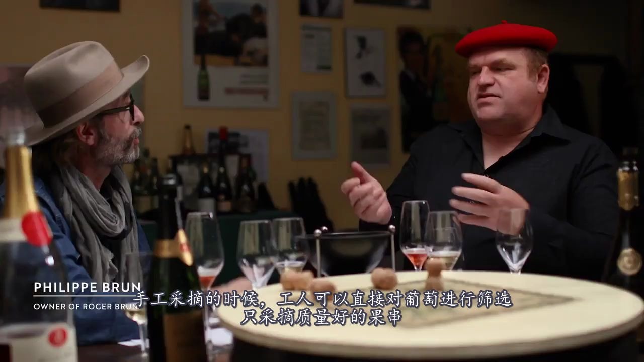 香槟酿造过程解析How Is Champagne Made哔哩哔哩bilibili