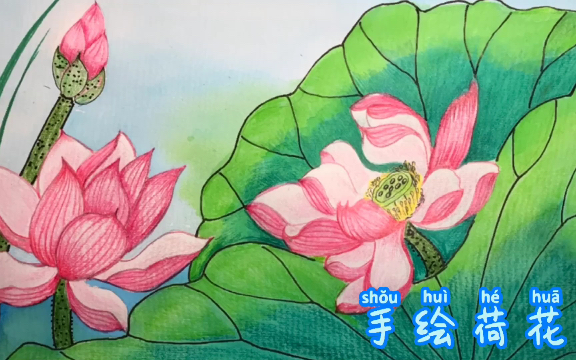 手绘荷花自学画画每日一画哔哩哔哩bilibili