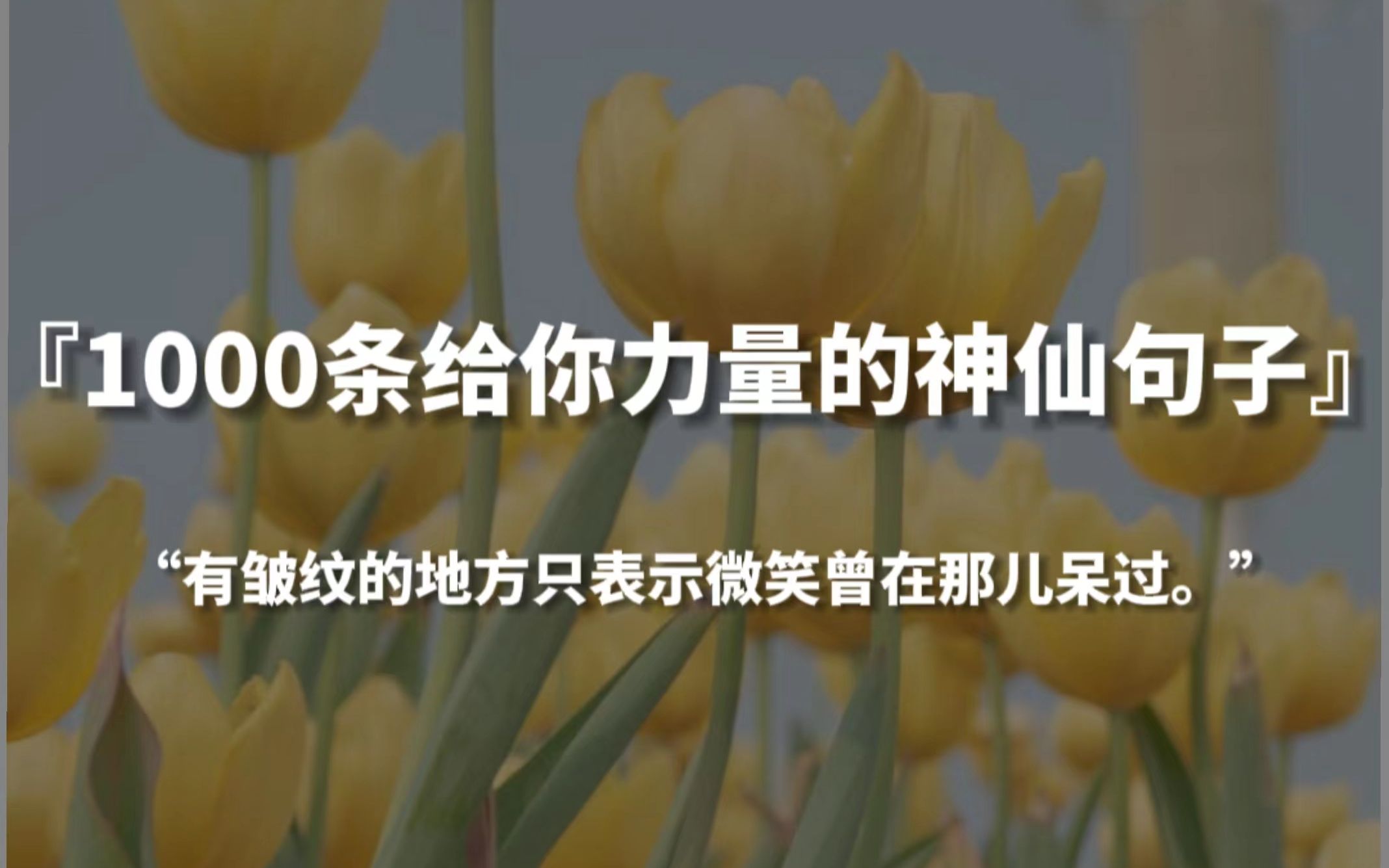 【句子控】“有皱纹的地方只表示微笑曾在那儿呆过”,1000条给你力量的神仙句子哔哩哔哩bilibili