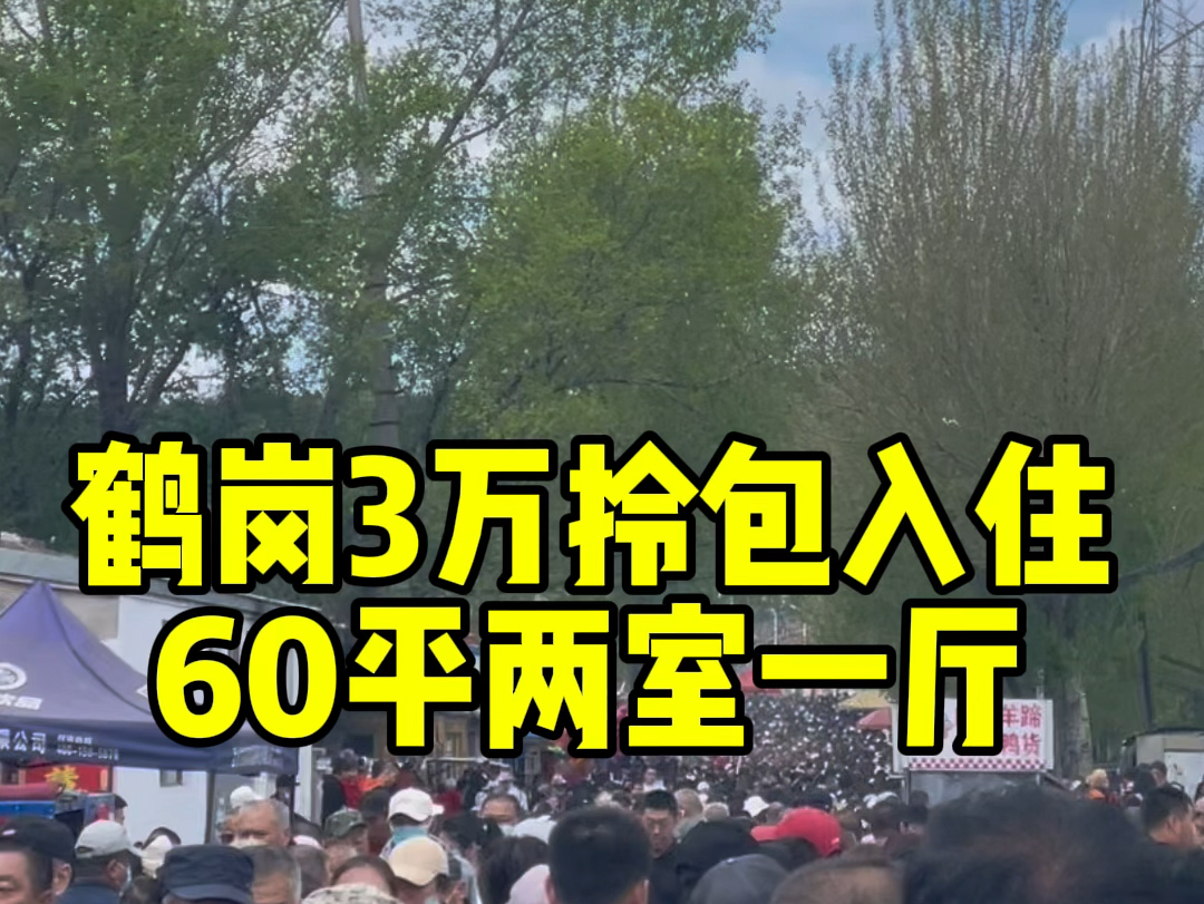 鹤岗3万拎包入住60平两室一厅啥感觉?哔哩哔哩bilibili