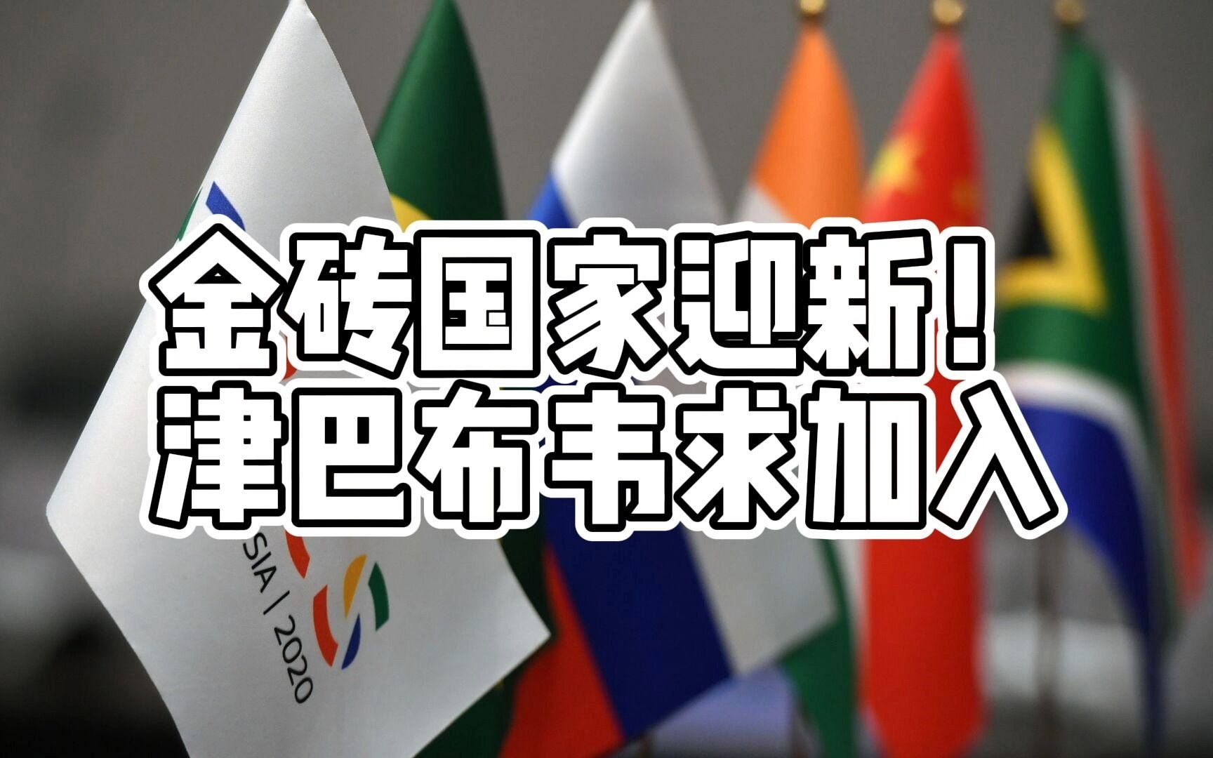 金砖国家迎新！津巴布韦求加入