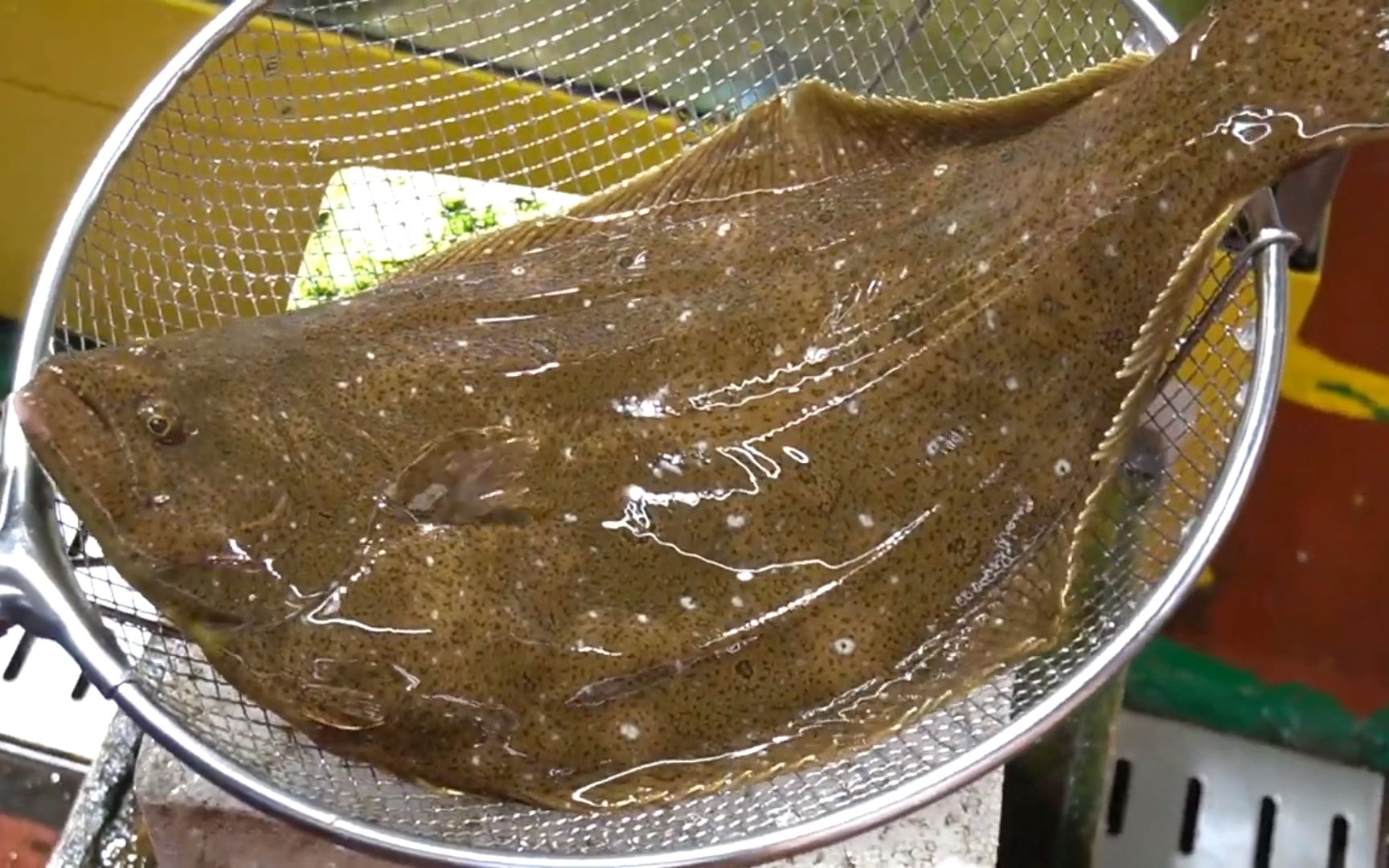 比目鱼刺身,师傅刀工不错