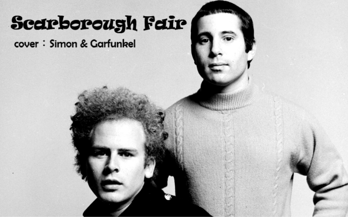simongarfunkelscarboroughfair十孔口琴c调bluesharp演奏
