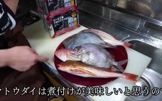 白身魚 搜索结果 哔哩哔哩 Bilibili