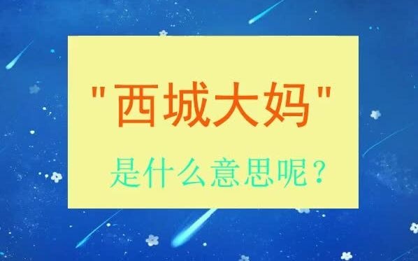 "西城大妈"是什么意思呢?哔哩哔哩bilibili