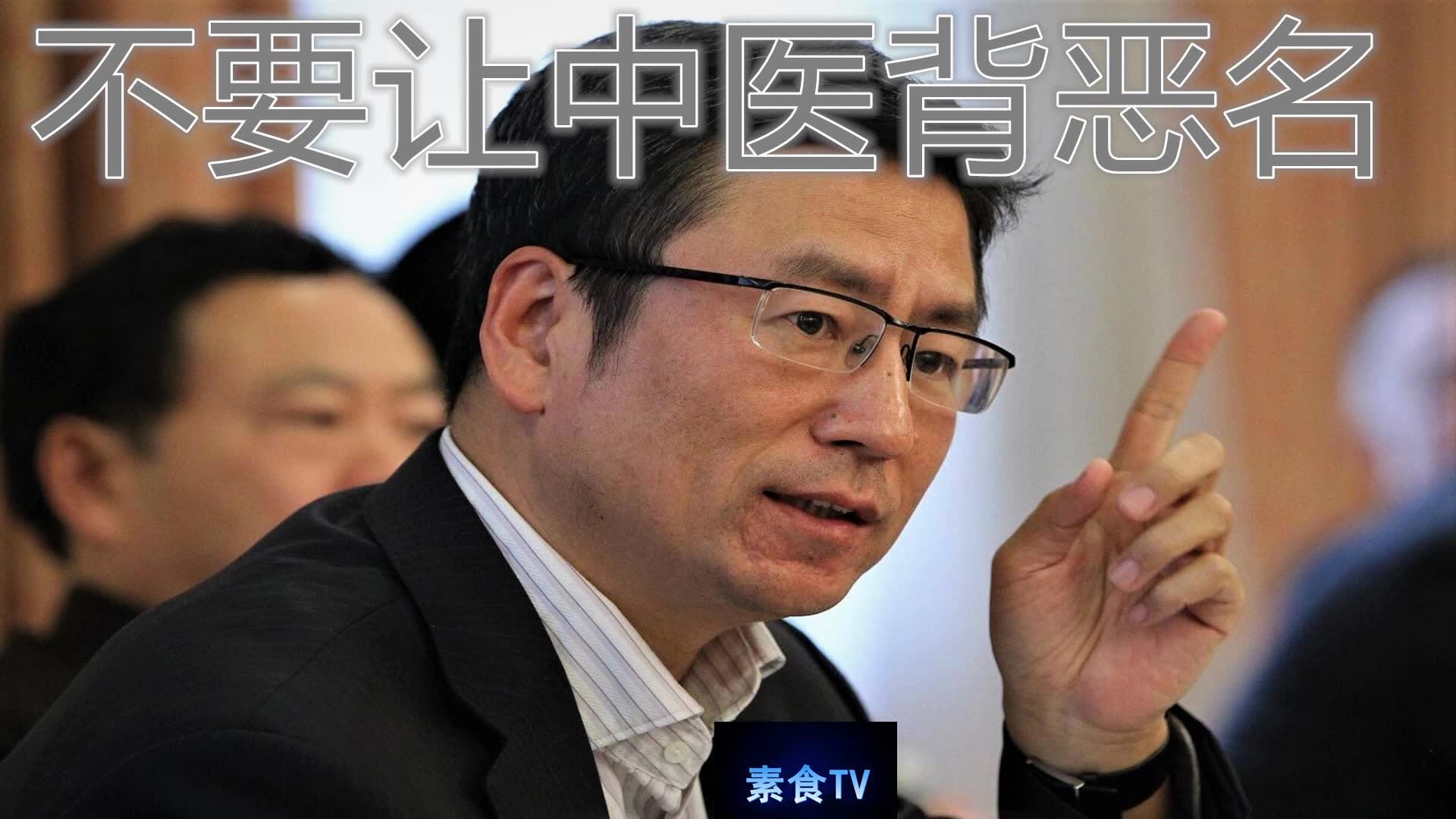 中医战疫情 白岩松| 不要让中医背恶名 | 白岩松说中医的故事 素食tv