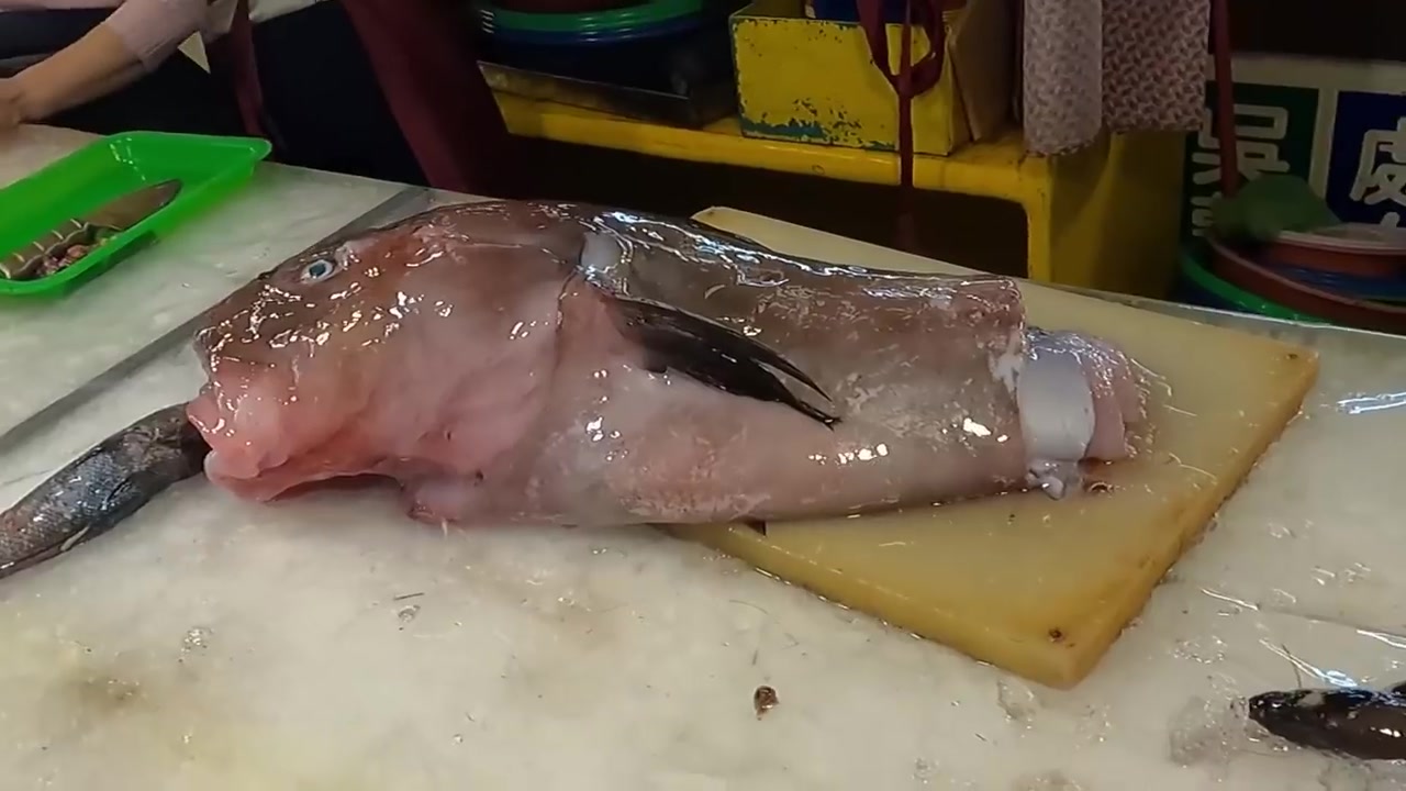 惊人的!最丑的鱼果冻鱼- taiwanese fishmarket