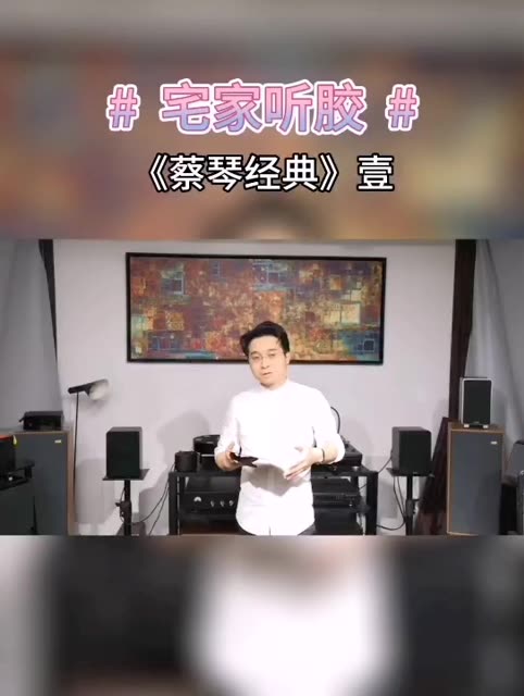 天弦《蔡琴经典 壹》黑胶唱片16首歌首首经典,包括成名作《恰似你的温柔》、《不了情》,以及电影《无间道》插曲《被遗忘的时光》等.母带由德国发...