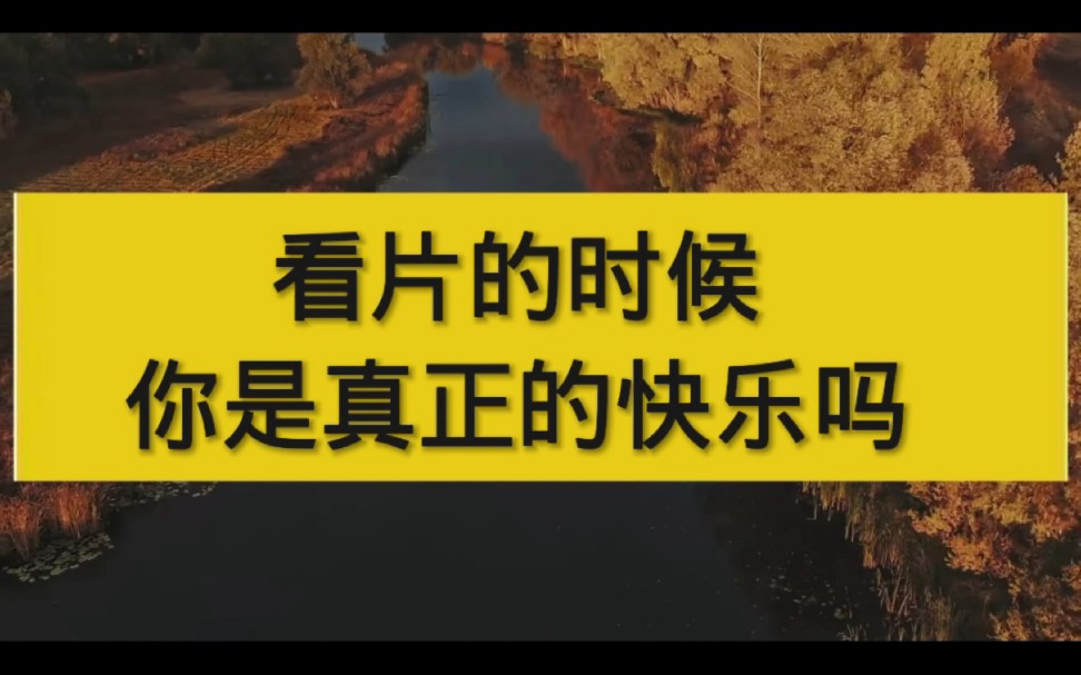 看黄的时候,你是真的快乐吗?哔哩哔哩bilibili