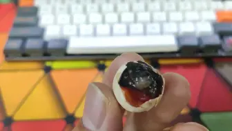 #北部白唇##手剥龟蛋#剖腹产第二天，希