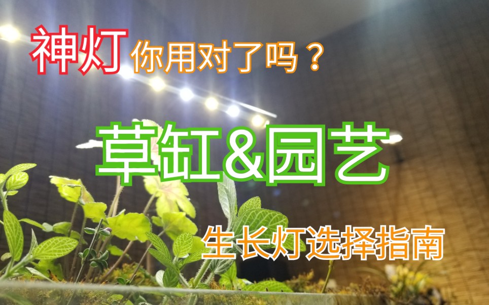 【好电工】神灯你用对了吗?草缸&园艺生长灯选择指南哔哩哔哩bilibili