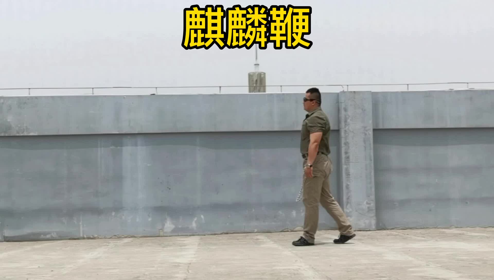 知识普及:此鞭为麒麟鞭,是在牧羊鞭的基础上改制而成