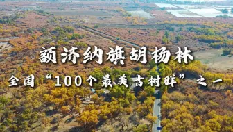 “黄金海洋”——额济纳旗胡杨林