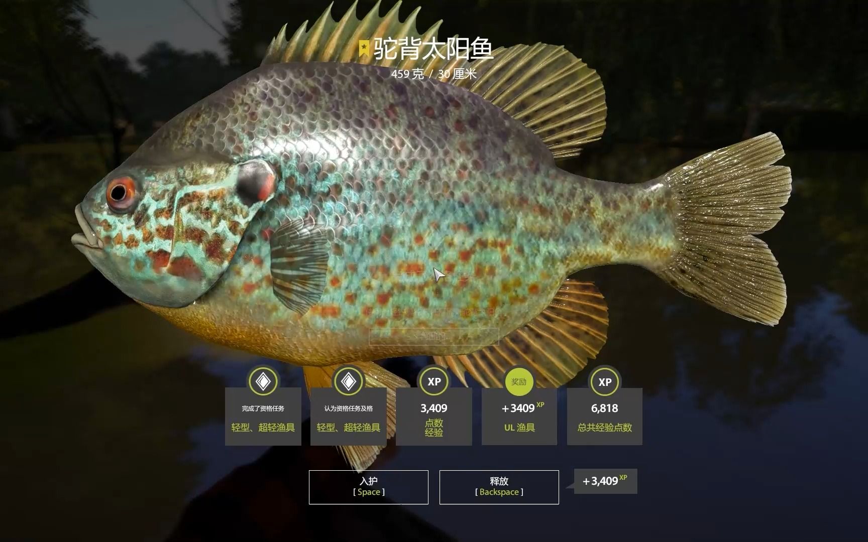 俄罗斯钓鱼4 82驼背太阳鱼(22图:北顿涅茨河)