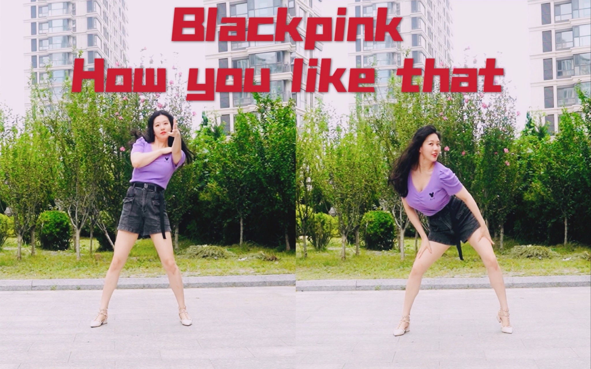 小汤圆  面部特写全网表情奶凶翻跳Blackpink回归曲How you like that哔哩哔哩bilibili