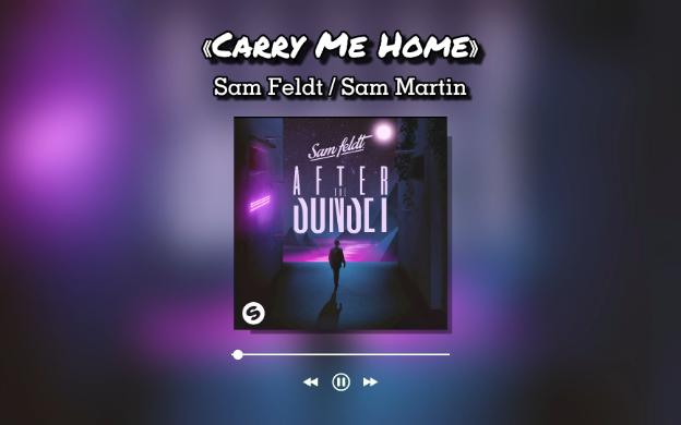 [图]Carry Me Home - Sam Feldt / Sam Martin