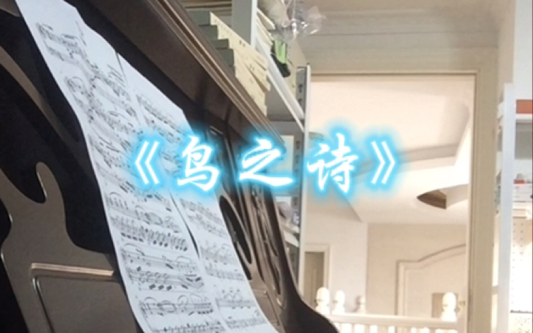 《鸟之诗》钢琴 a叔版