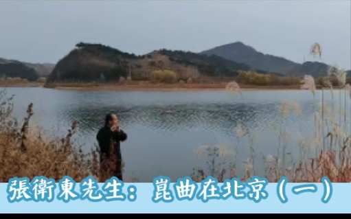 张卫东先生讲:崑曲在北京(一)哔哩哔哩bilibili