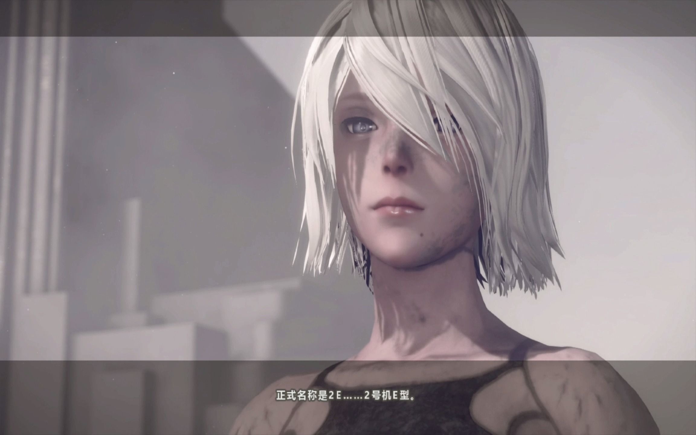 尼尔a2结局通关纪念,9s狗都不玩