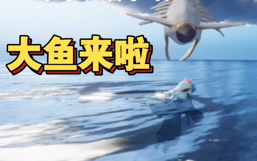 【光遇】圣岛潜水看大鱼