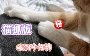 Download Video: 小猫咪想咬人,企图蒙混过关~