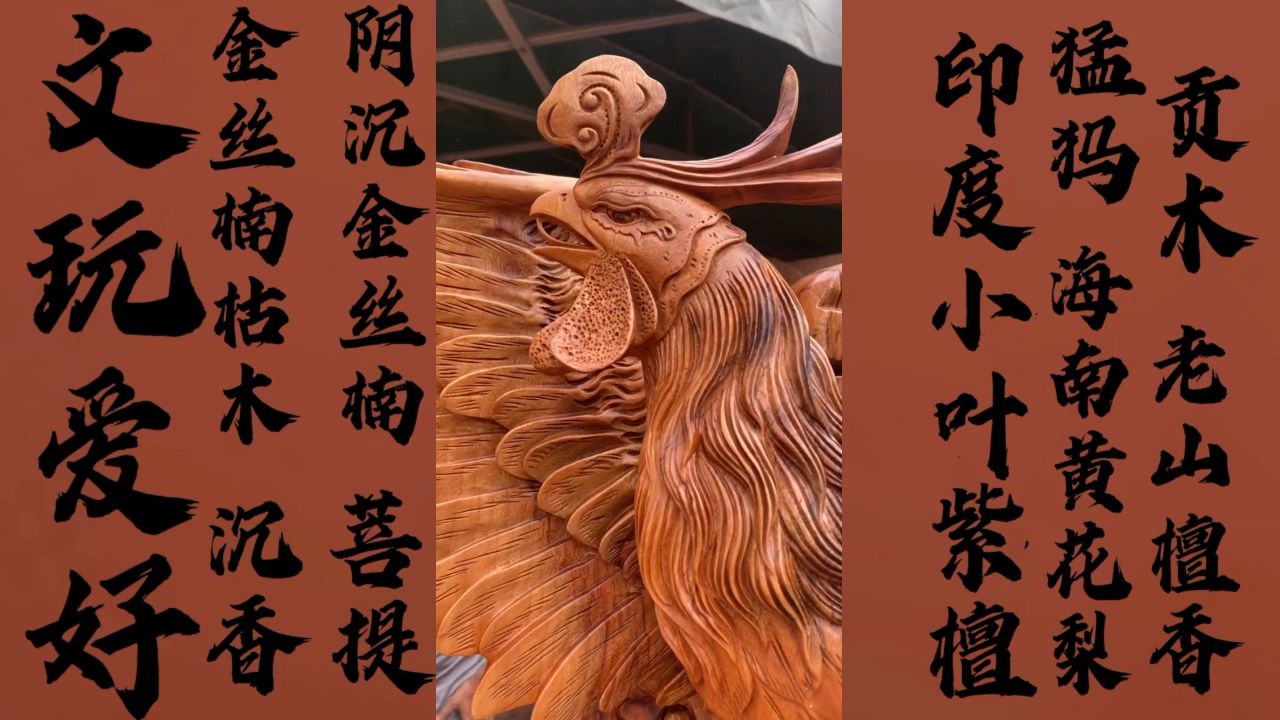 凤凰展翅,飞黄腾达!艺人干就完了