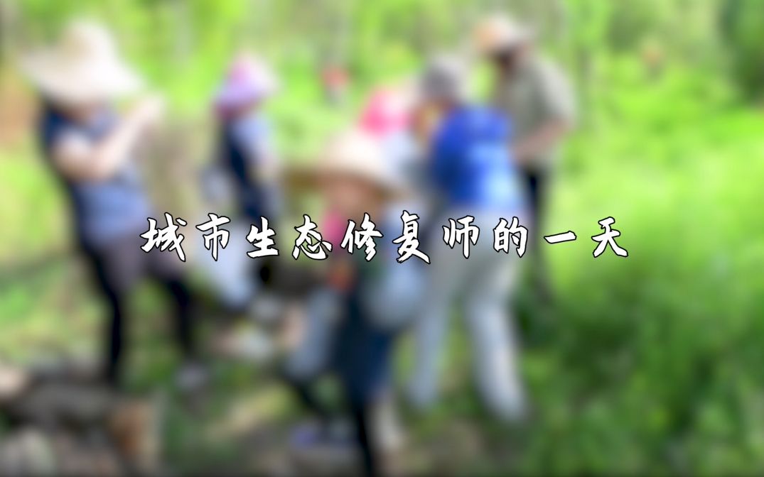 【城市荒野|原创科普系列】城市生态修复师哔哩哔哩bilibili