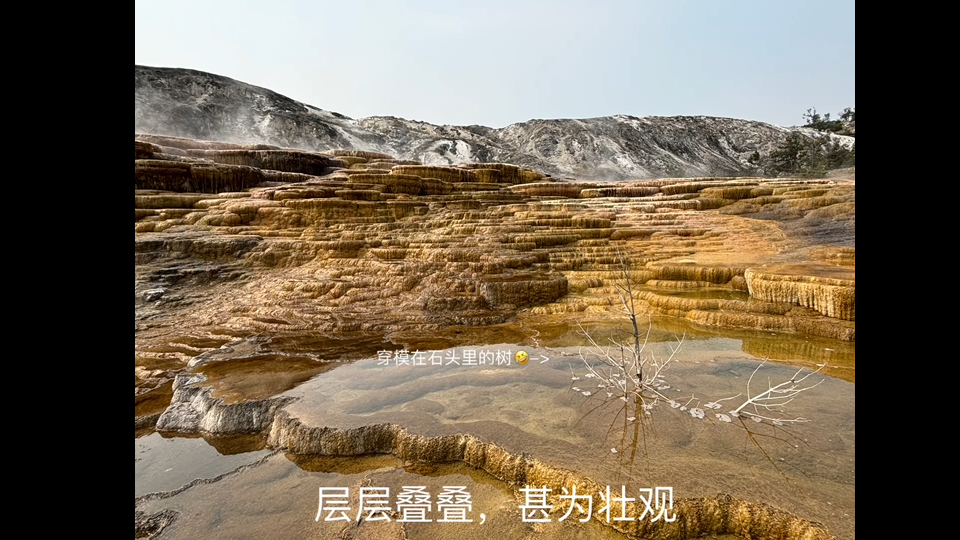 美国游记3:黄石公园1