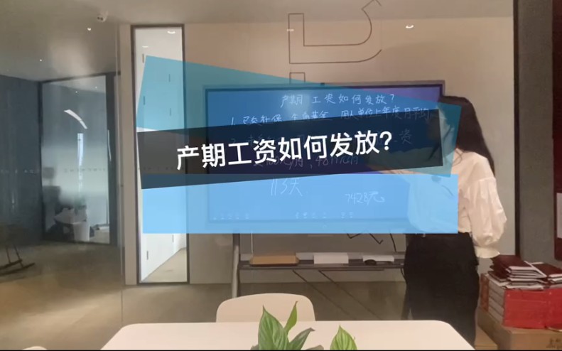 产期工资如何发放?哔哩哔哩bilibili