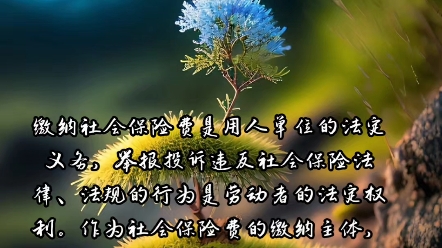 签了离职协议领了23万补偿,又去投诉补缴社保是否违约?宁夏银川市工伤劳动争议律师董克仁律师团队哔哩哔哩bilibili