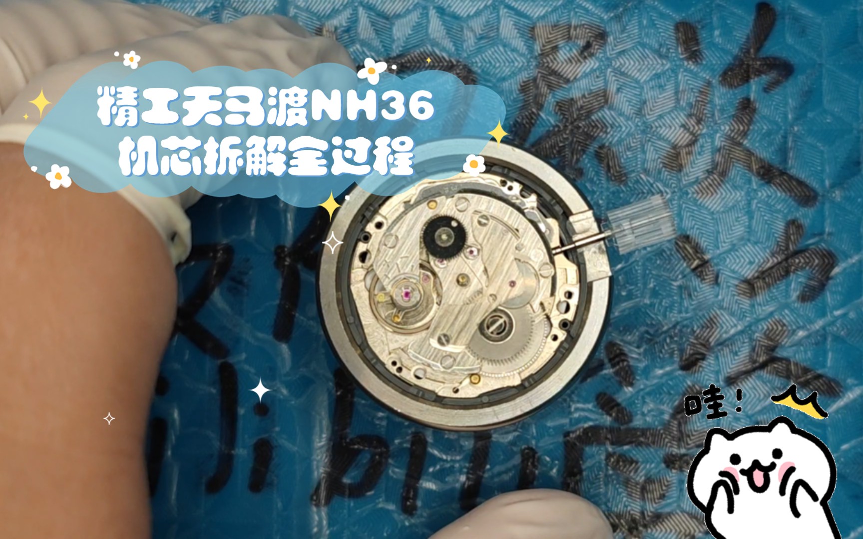 放松催眠!精工天马渡NH36机芯拆解全过程哔哩哔哩bilibili